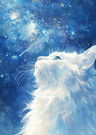 ⭐️向流星許願的白貓❤️