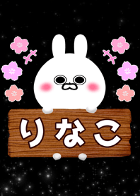 Rinako Illumination rabbit Name Theme