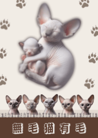 Realistic facial_db-Hairless Cat has Fur