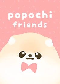 ぽぽちと仲間たち