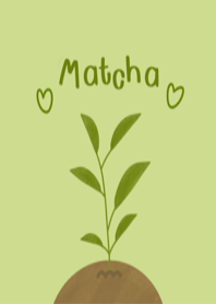 Matcha!!!