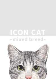 ICON CAT - Mixed breed cat - GRAY/14