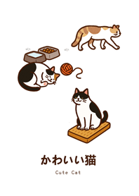 私の猫たち（純白）