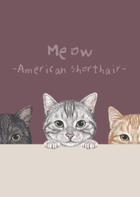 Meow - American Shorthair - DUSTY ROSE