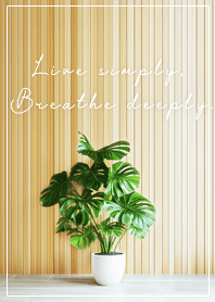 金運UP！モンステラ & ナチュラルウッド