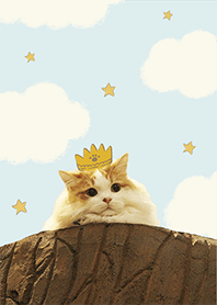 Fluffy prince