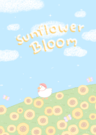 sunflower bloom