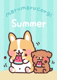 fluffy fat Corgi summer vacation