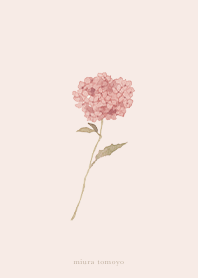 simple Ajisai pink bouquet revised ver