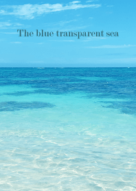 The blue transparent sea - SHELL 27