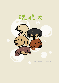 臘腸狗 X 泡泡