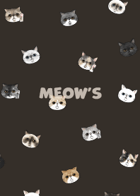 meowshead2 / chocolate.