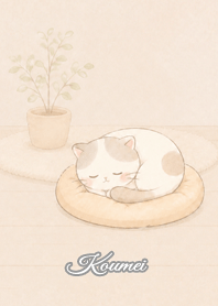 Cozy Lazy Cat: Koumei