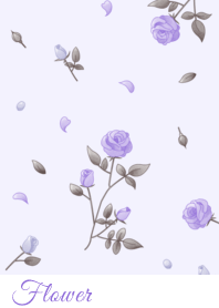 花 002 【玫瑰×紫色】