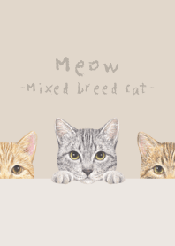 Meow-Mixed breed cat 03-PASTEL BROWN