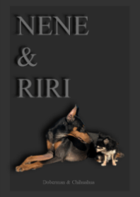 犬の着せかえ 20200115