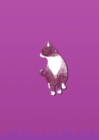 Simple adult cat 1004