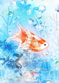 Glass Goldfish Line Theme Line Store