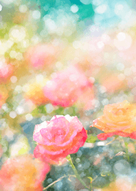 Beautiful rose flower(R1650)