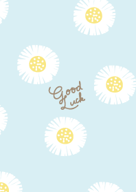 Chamomile Cute2 from Japan