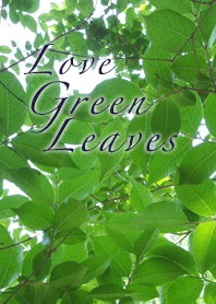 Love Green leavesー新緑が大好き