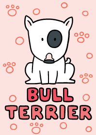 Bull Terrier Dog