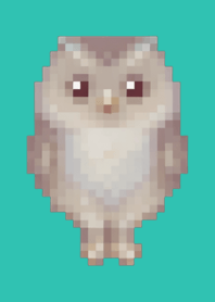 Owl Pixel Art Theme  Green 08