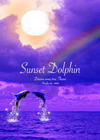 Sunset dolphin blue
