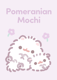Pomeranian Mochi -wisteria-