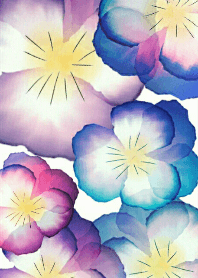 pansy flowers