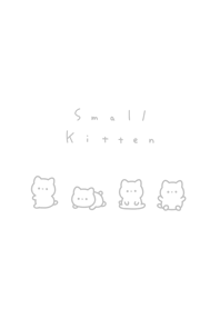 small kitten-white gray