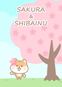 Cherry Blossom & Shiba Inu