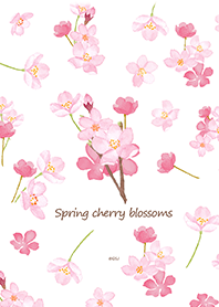 Spring cherry blossoms simple from Japan