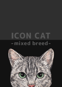 ICON CAT - Mixed breed cat - BLACK/16