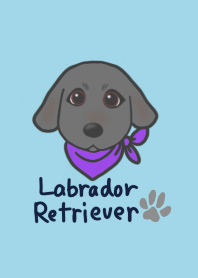 LabradorRetriever-B illustration Theme