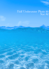 Half Underwater Photo 29 Not AI