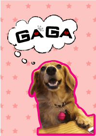 臘腸狗GaGa