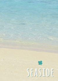 Seaside Clover'Green'