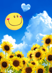 Lucky Smile & SunFlower in the Sky 2