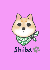 Shiba Inu Illustration Theme
