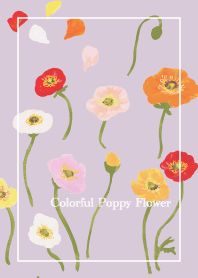 =Colorful Poppy Flower2=