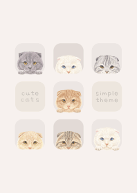 CATS - Scottish fold - BEIGE