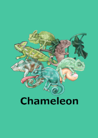 ENOGU カメレオン 爬虫類 着せ替え