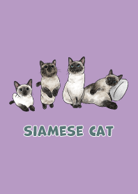 siamesecats3 - purple