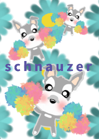 ふんわり 癒され シュナウザー