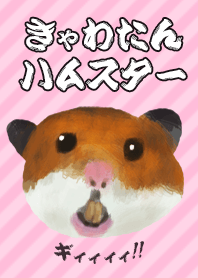 きゃわたんハムスター