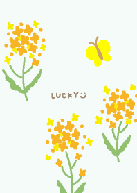 菜の花　蝶12