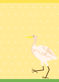 Cattle Egret on yellow