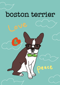Always be with you! Boston Terrier