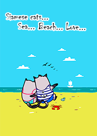 猫...海...ビーチ...愛...
